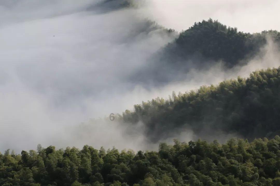 脑洞小老弟无实名认证